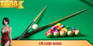 Cá cược bida